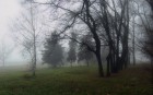 утренний туман